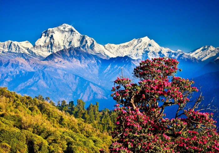 Nepal Himalayas mountains nature landscape clear sky hills 2k