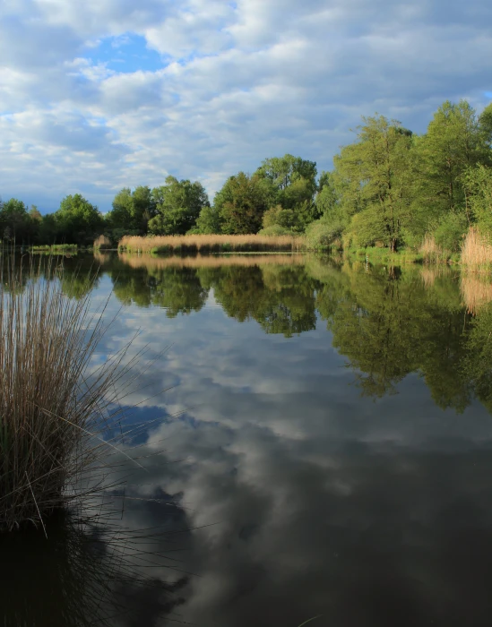 nofilter unedited thurgau m rwil nature lake landscape 2k