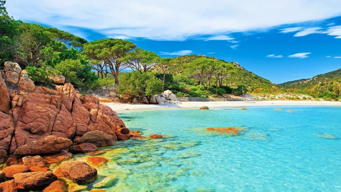 Palombaggia Beach In Corsica Island France Uhd Wallpaper For Desktop Mobile Phones Table And Laptop 2k