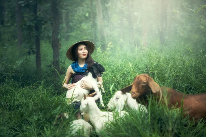 photo of a woman holding white goat in the middle forest farm 2k 4k 5k