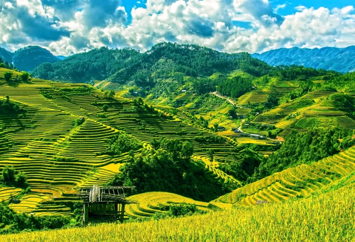 photo of green terraces during daytime rice fields 2k