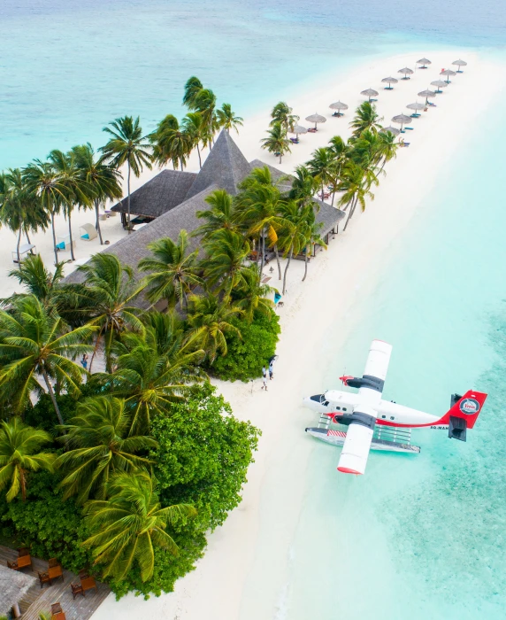 plane parked beside the trees on seashore white airplane flying above body of water near coconut 2k