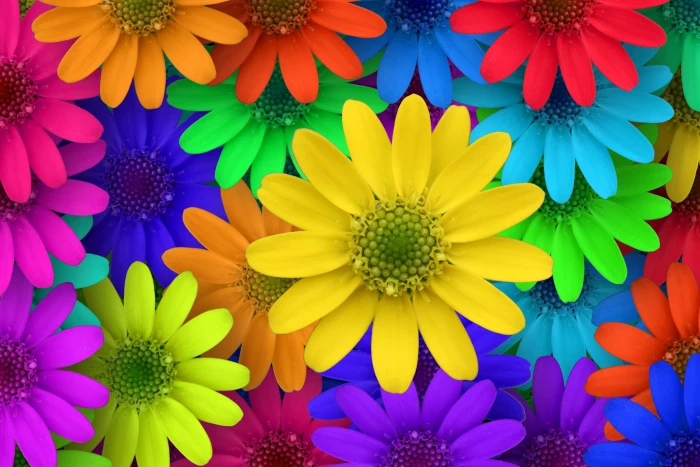 red blue green yellow and orange flowers illustration blossom 2k 4k 5k