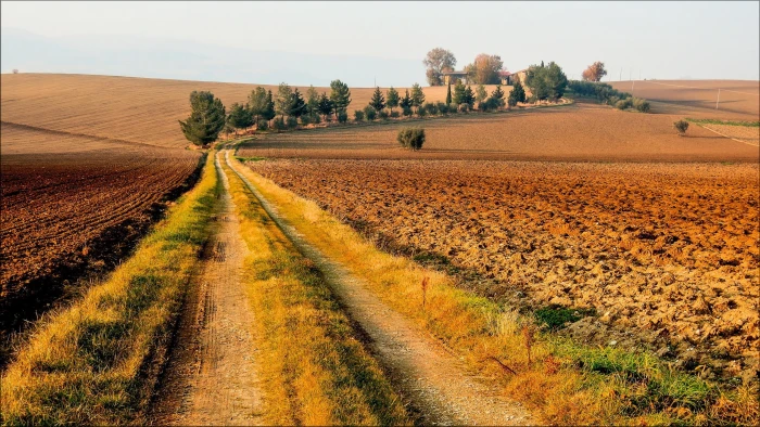 rocky road between green grass during daytime nature landscape 2k