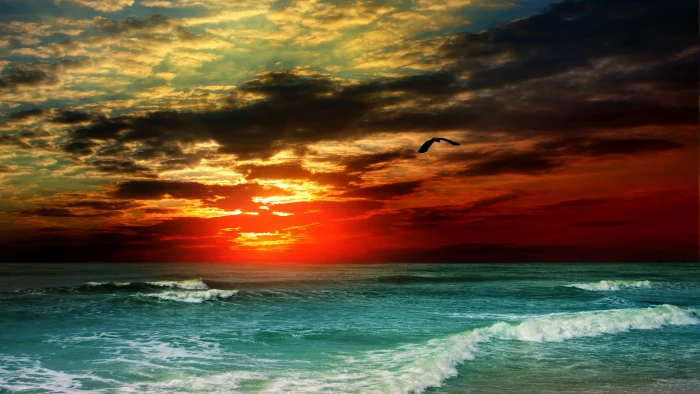 Sea wallpaper ocean sunset shore clouds 2k 4k 5k