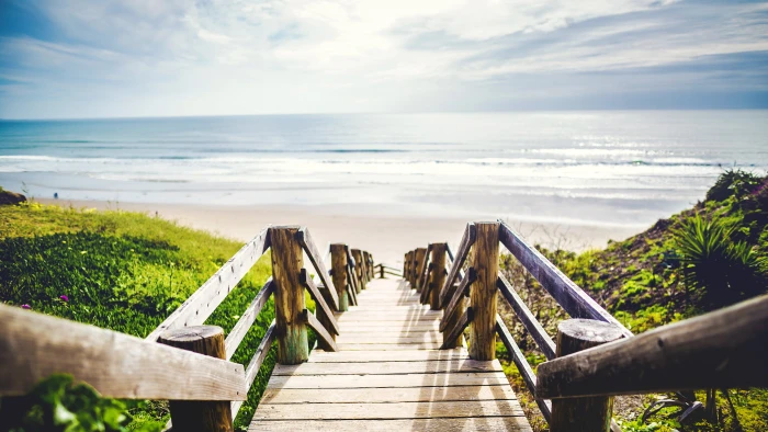 sea beach plants green stairs water sand horizon over 2k 4k