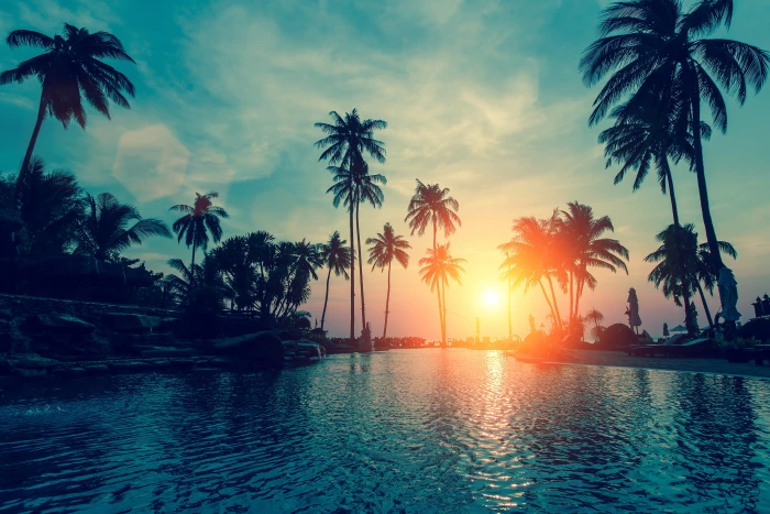Sunset Tropical beach Palm trees 2k