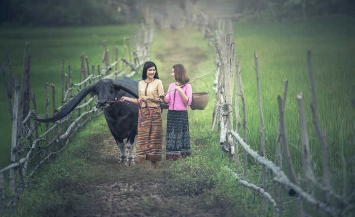 two woman standing on dirt road near black water buffalo agriculture 2k 4k 5k