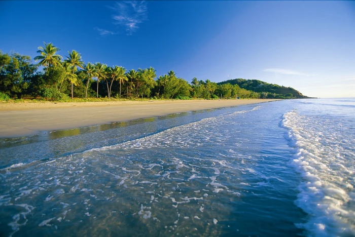 white sand beach tropics sea palm trees foam nature tropical Climate 2k 4k