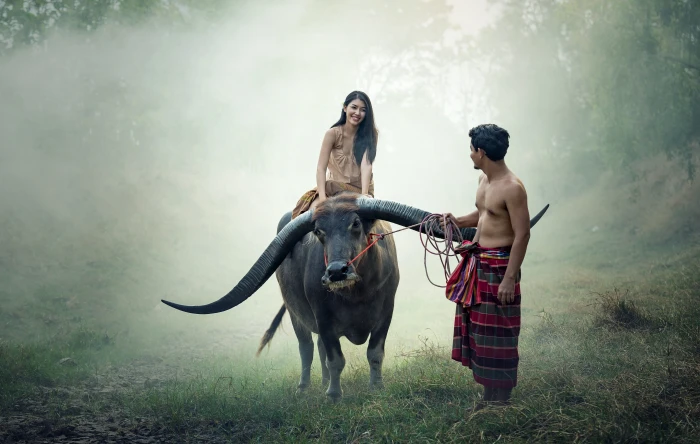 woman riding water buffalo with man standing near talented people 2k 4k 5k