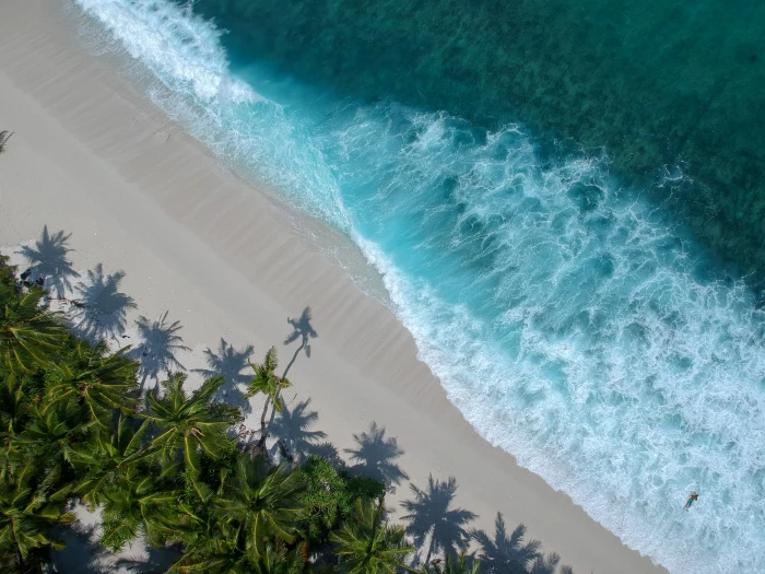 aerial photography of beach outdoors nature ocean water sea 2k 4k