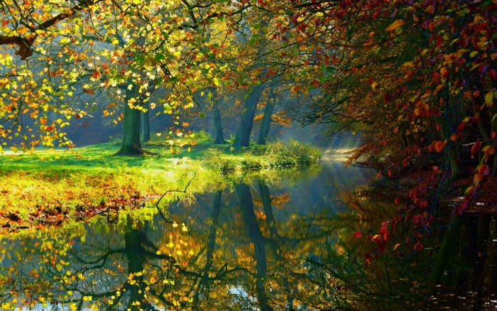 Autumn river trees nature scenery sunlight 2k