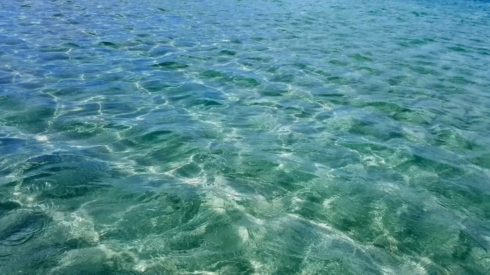 body of water s o miguel dos milagres alagoas macei beach 2k 4k