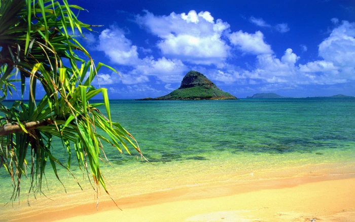 Chinaman s Hat Oahu Hawaii Desktop Wallpaper Backgrounds Free Download 2k 4k