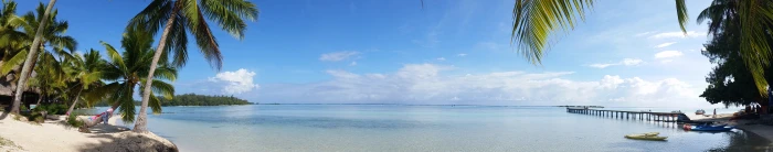 Coconut Trees Near Ocean and Dock beach clouds coast horizon 2k 4k 5k 8k