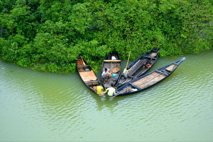 four brown wooden canoes floating on water beside green leafed plants 2k 4k