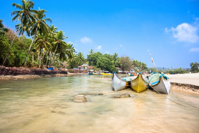 Goa India palms boats travel Best Beaches in the World 2k 4k