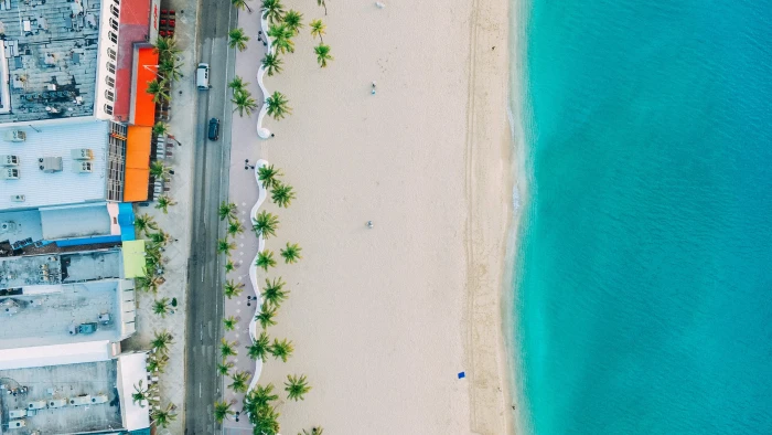 nature waves landscape beach palm trees 2k 4k