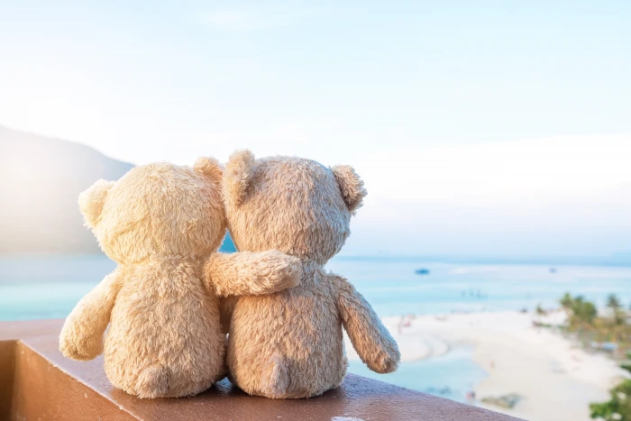 sand sea beach love toy bear pair two romantic couple 2k 4k 5k