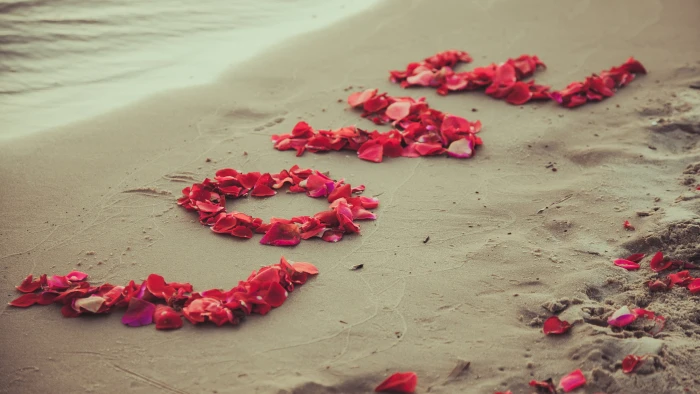sea side beach Shore wallpaper petals love sand 2k 4k 5k