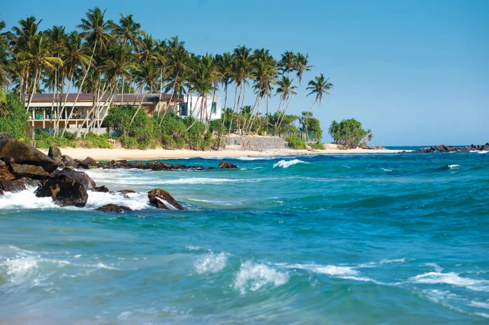 sea beach vacation sand coast ocean outdoors palm trees 2k 4k