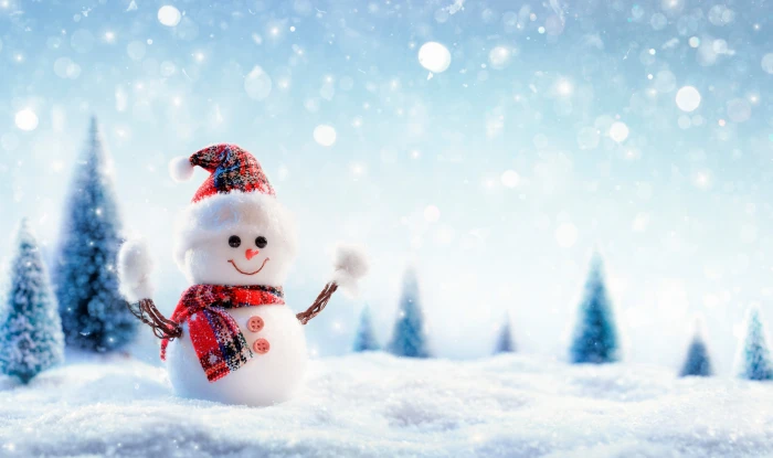 snowman hd photography winter cold temperature 2k 4k 5k 8k