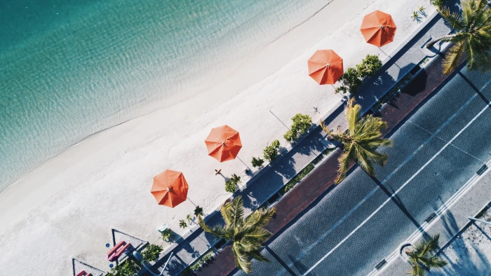 aerial view of orang parasols on seashore beach umbrella 2k 4k