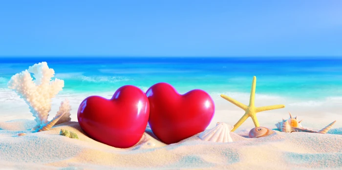 Artistic Summer Beach Heart Sand Sea Shell Starfish 2k 4k 5k 8k