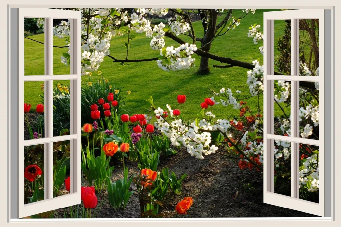 assorted flowers a beautiful day good mood joy tulips window 2k 4k