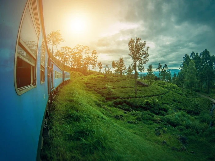 blue train beside green grass during daytime srilanka ella 2k 4k