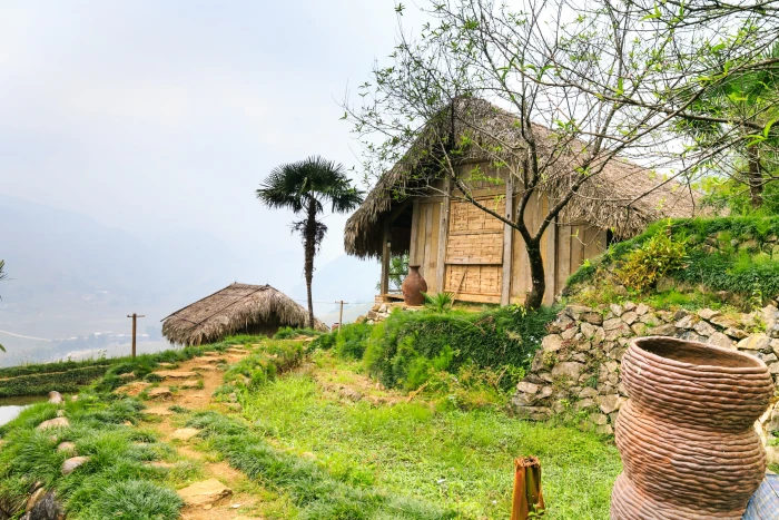 brown nipa hut beside tree water see asia rice vietnam sa pa 2k 4k