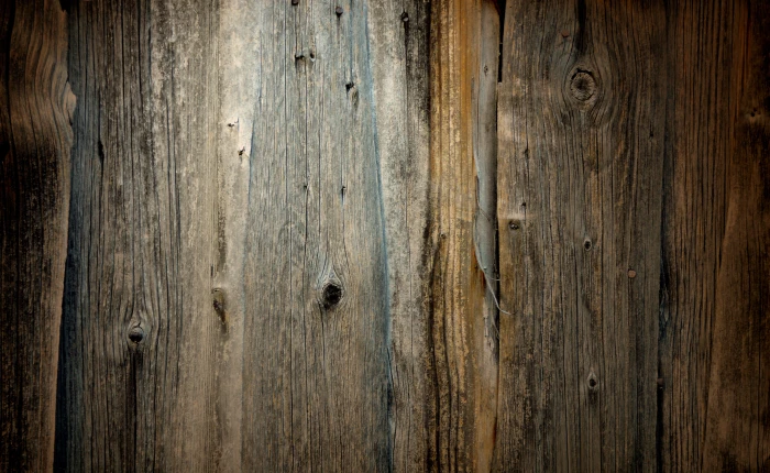 brown tree trunk texture wood grain weathered washed off 2k 4k 5k