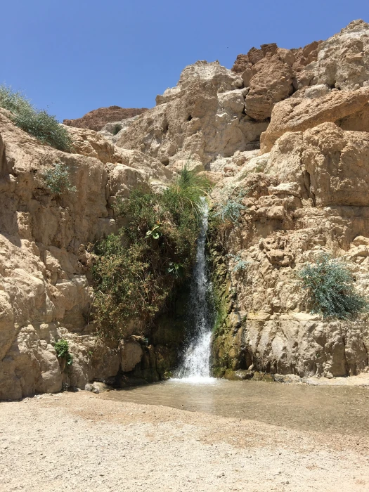 eingeti israel desert nature spring stone mountain negev 2k
