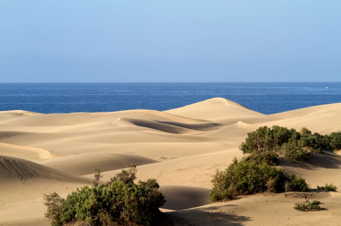 Gran Canaria Maspalomas Sand Dunes scenics sea nature 2k 4k 5k