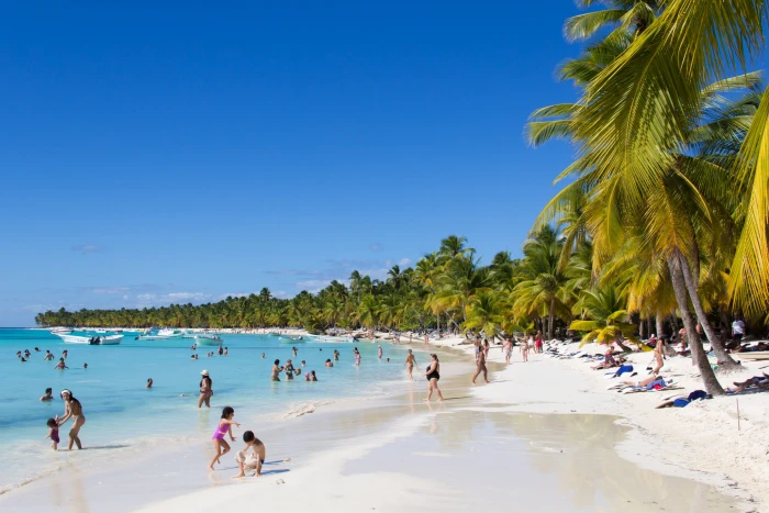 green coconut tree beach nature palm trees group of people 2k 4k 5k