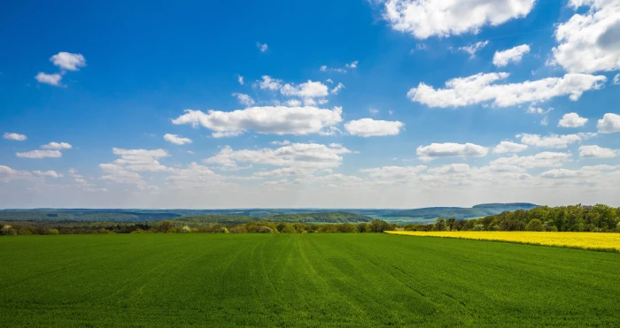 green grass field under white clouds landscape spring sky 2k 4k 5k