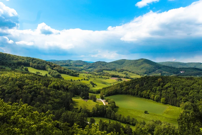 green trees under cloudy sky arnstein nature hill 2k 4k 5k