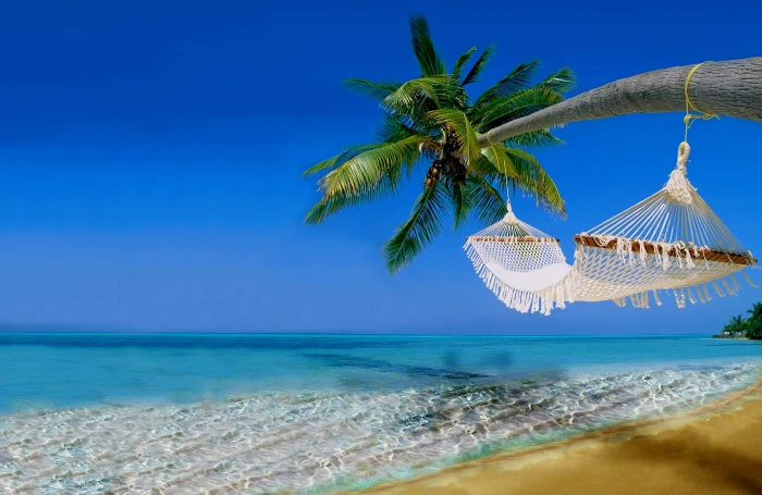 Hawaii Ocean Tropical beach Coast sea water tropical climate 2k 4k 5k