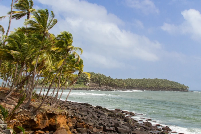 les du salut french guiana guyana island coconut tree 2k 4k 5k