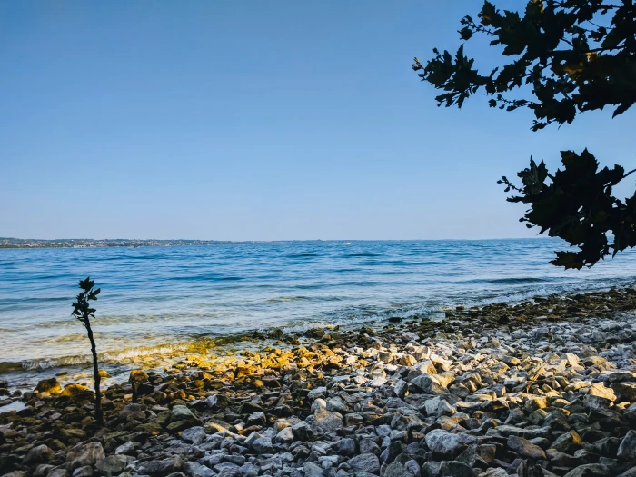lake beach water sky sea beauty in nature plant clear 2k 4k