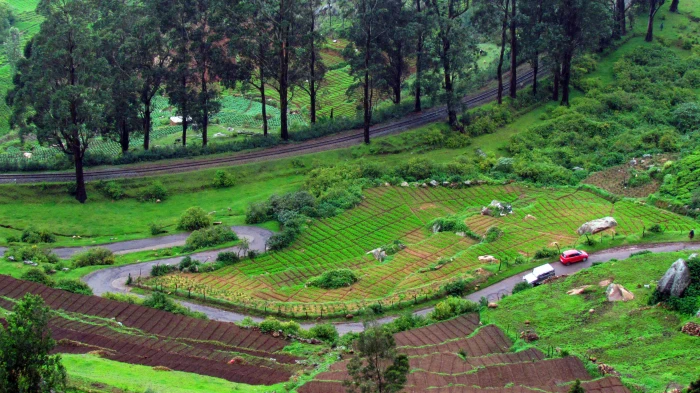 road near green grass and trees at daytime Ooty Green Mountain 2k 4k