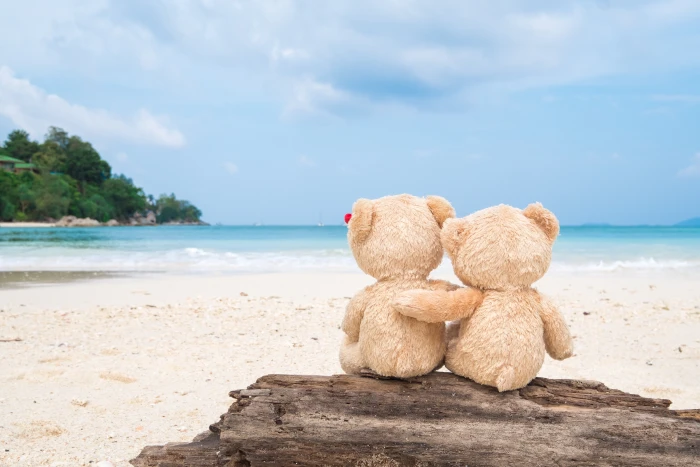 sand sea beach love toy bear pair Board two romantic 2k 4k 5k