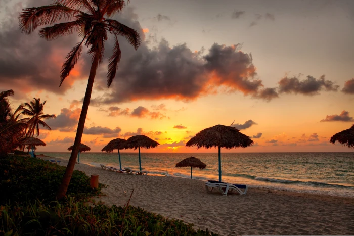 sea beach palm trees tropical Sun sky water sunset land 2k 4k 5k