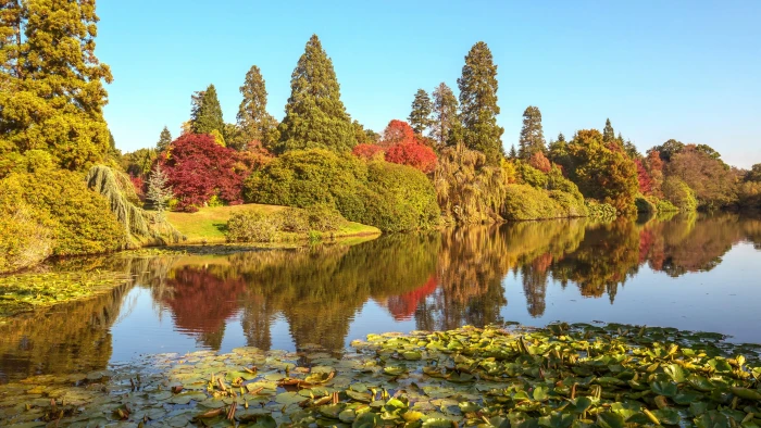 sheffield park and garden england pond autumn landscape 2k 4k