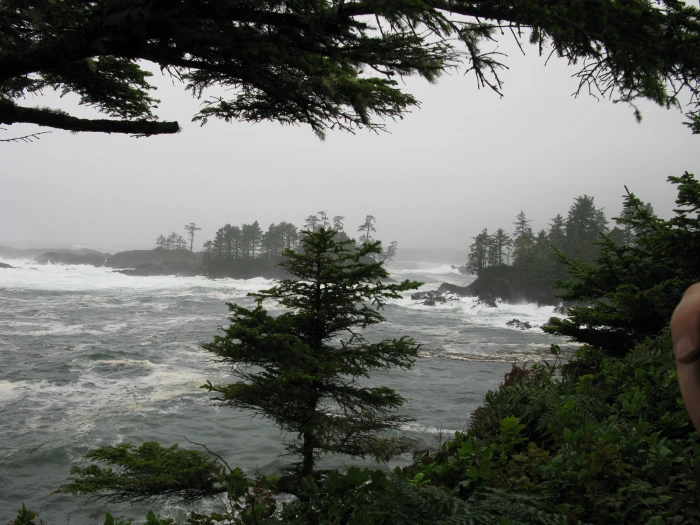 storm waves tofino vancouver island pacific ocean scenery 2k
