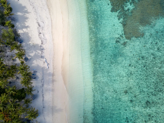 Top View Photo of Seashore wallpaper beach bird s eye view 2k 4k