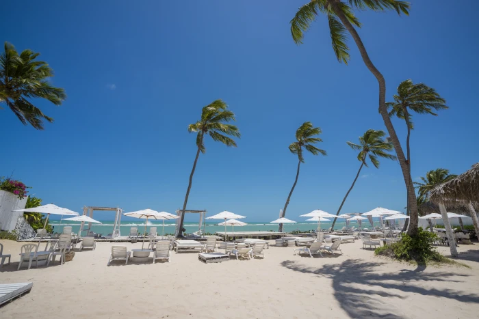 travel macei alagoas beach palm tree tropical climate 2k 4k 5k