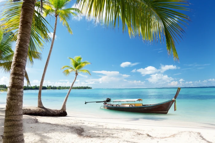 Tropical Paradise sunshine beach coast Sea sky blue emerald 2k 4k