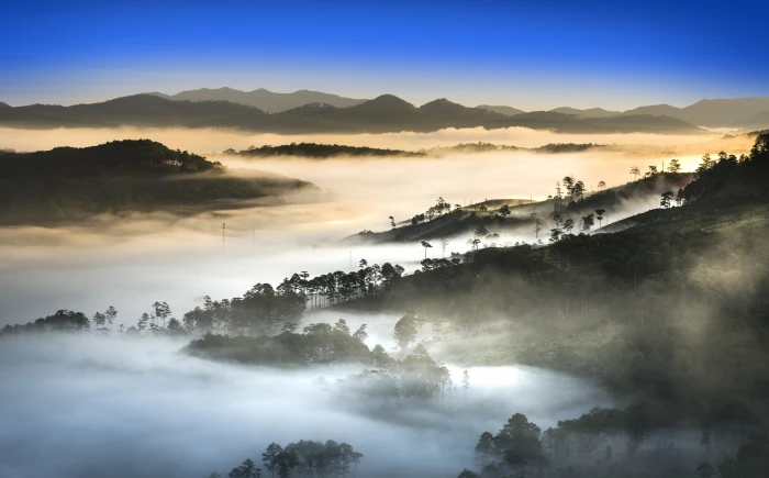 Vietnam Landscape Forest Dense Fog green forest Asia Travel 2k 4k 5k 8k