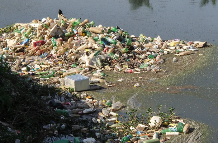 waste floating on water Trash River Pines Rubble Pollution 2k 4k